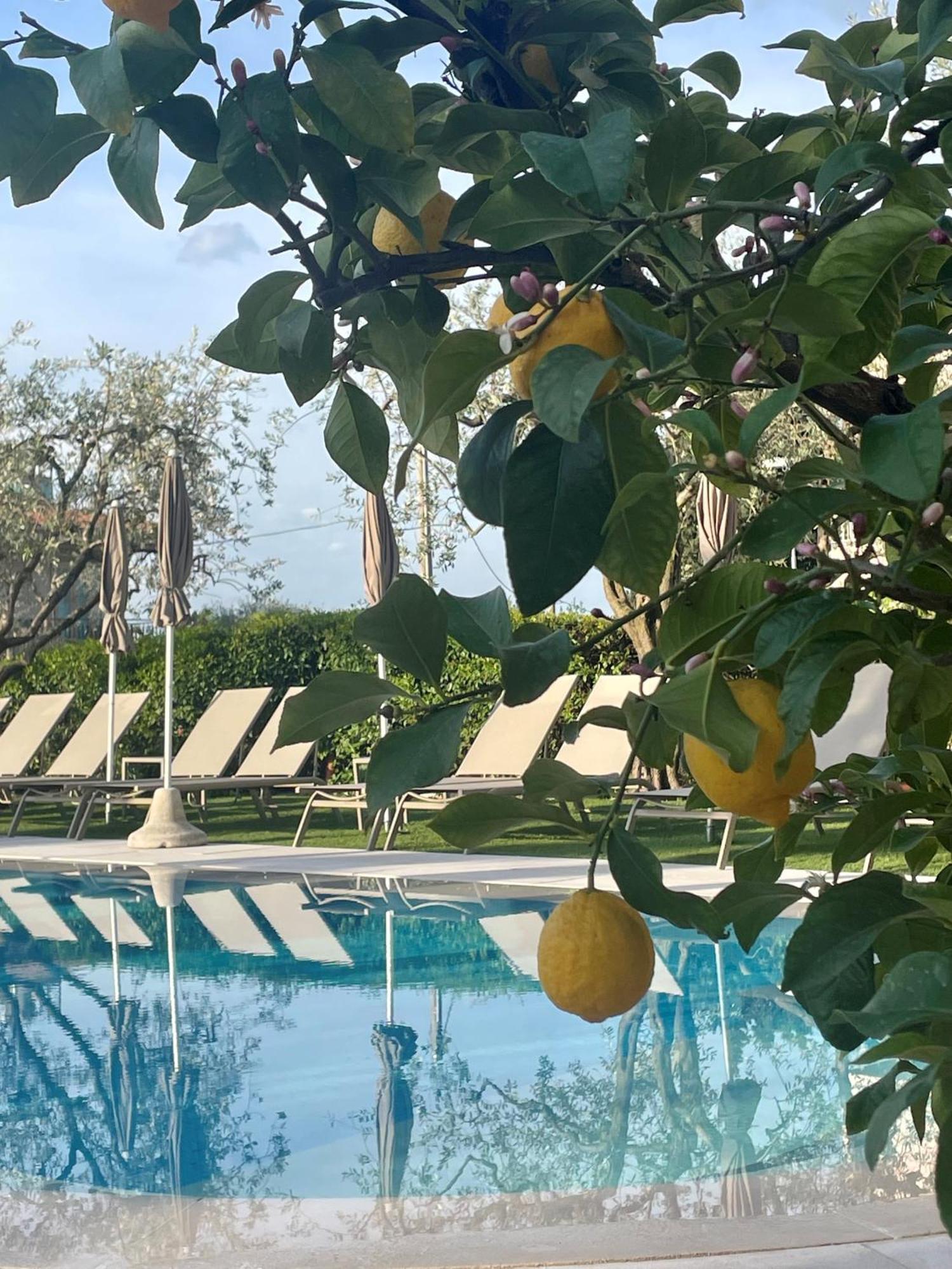 Hotel Al Sole Bardolino Exterior foto